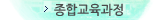 종합교육과정